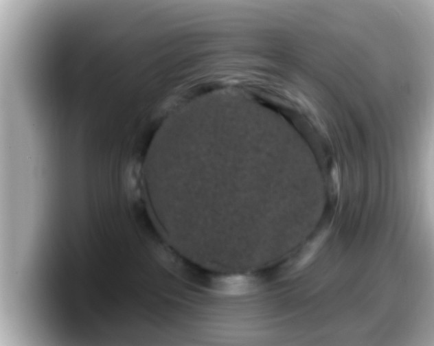 X0000099560237200805231518