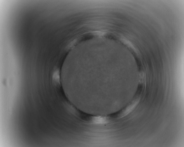 X0000099560238200805231518