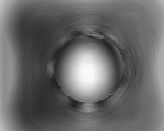 X0000099560240200805231518