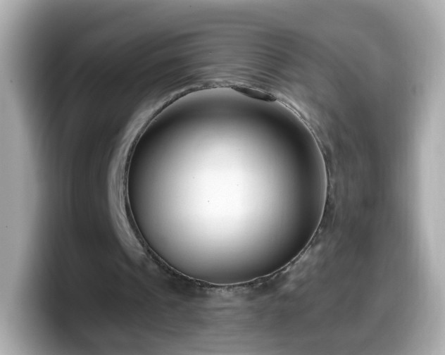 X0000099560241200805231518