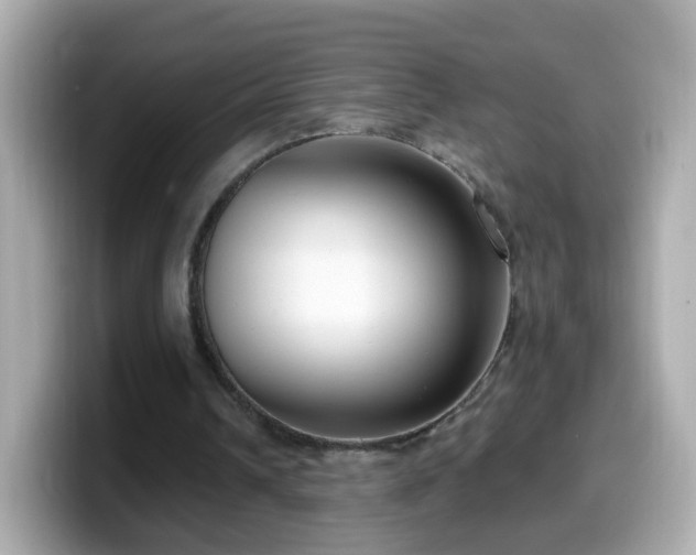 X0000099560242200805231518