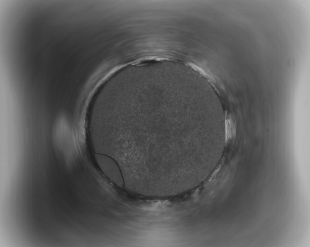 X0000099560243200805231518