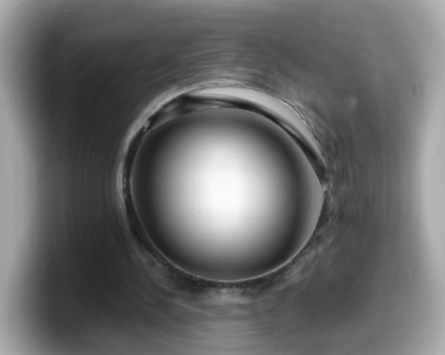 X0000099560244200805231518