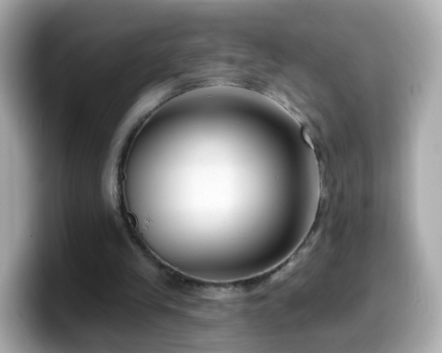 X0000099560245200805231518