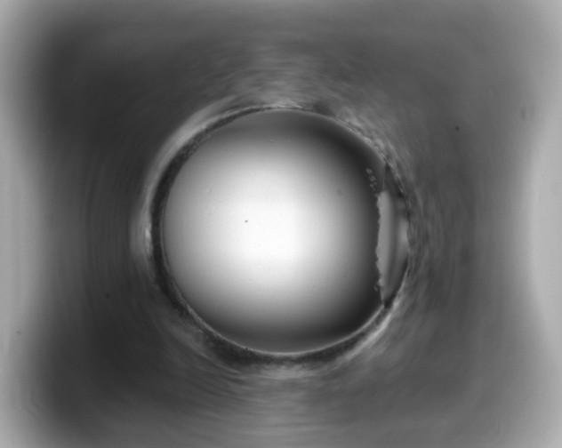 X0000099560246200805231518