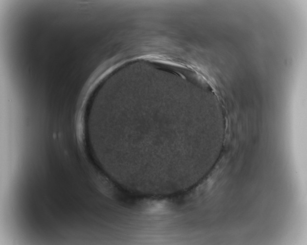 X0000099560247200805231518