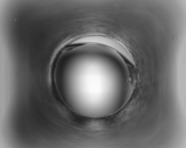 X0000099560248200805231518