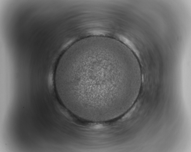 X0000099560249200805231518