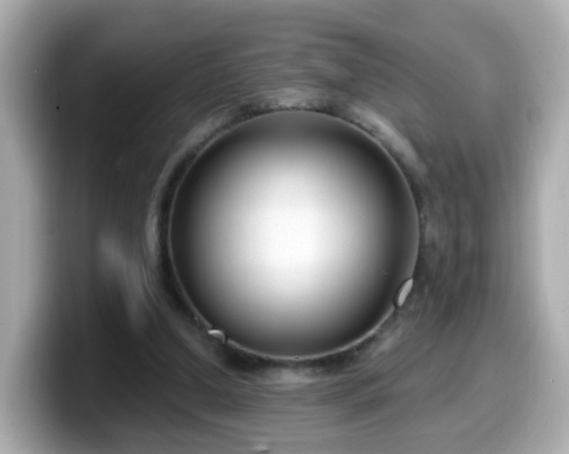 X0000099560250200805231518