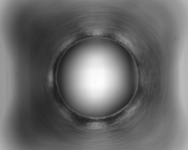 X0000099560251200805231518