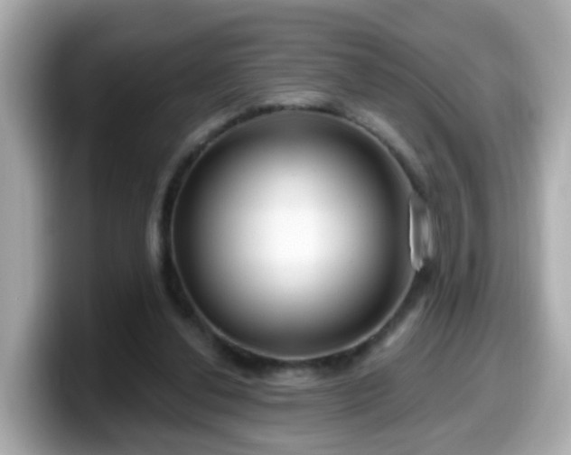 X0000099560252200805231518