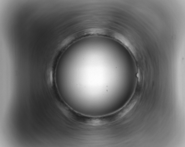 X0000099560253200805231518