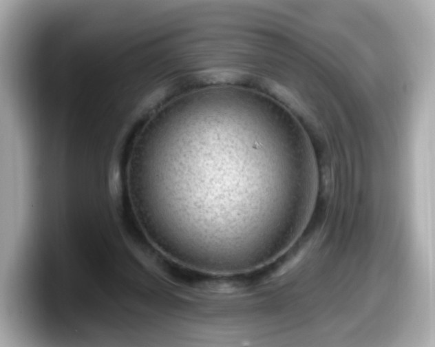 X0000099560254200805231518