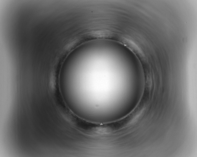 X0000099560255200805231518