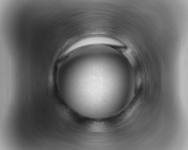 X0000099560256200805231518