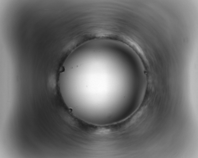 X0000099560257200805231518