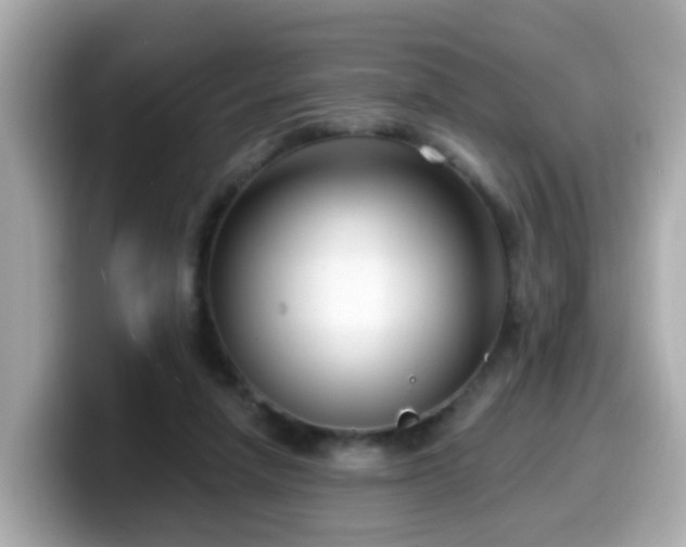 X0000099560258200805231518