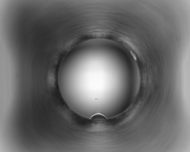 X0000099560259200805231518