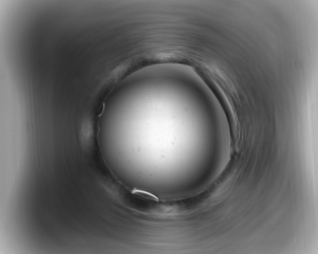 X0000099560260200805231518