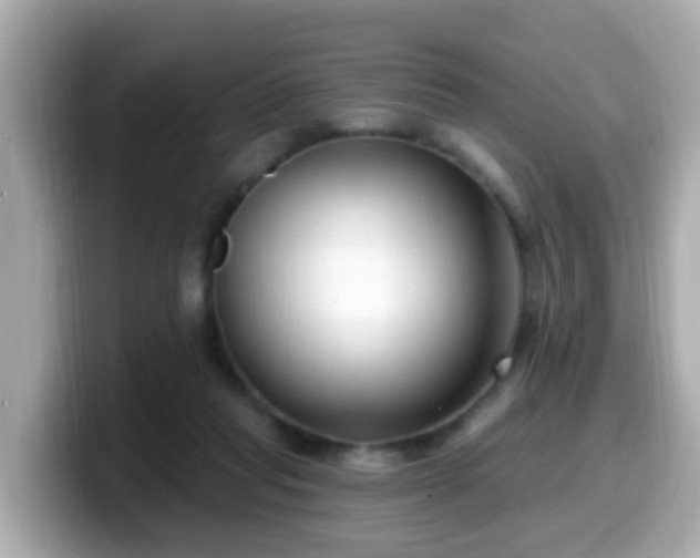 X0000099560261200805231518