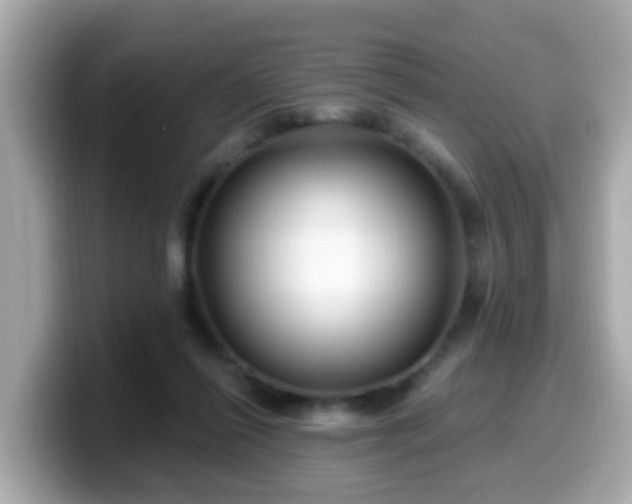 X0000099560262200805231518