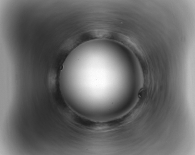 X0000099560263200805231518