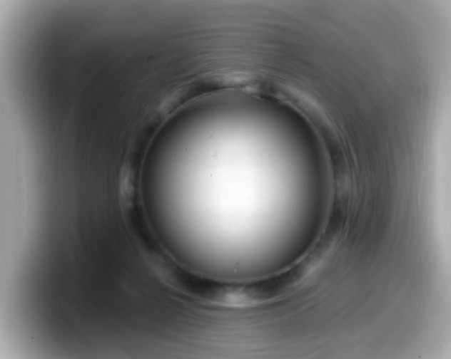 X0000099560264200805231518