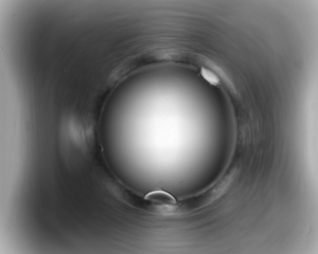 X0000099560265200805231518