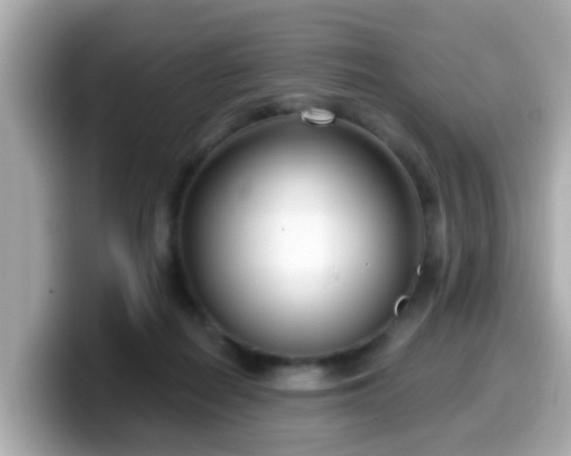 X0000099560266200805231518