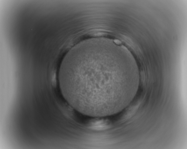 X0000099560267200805231518