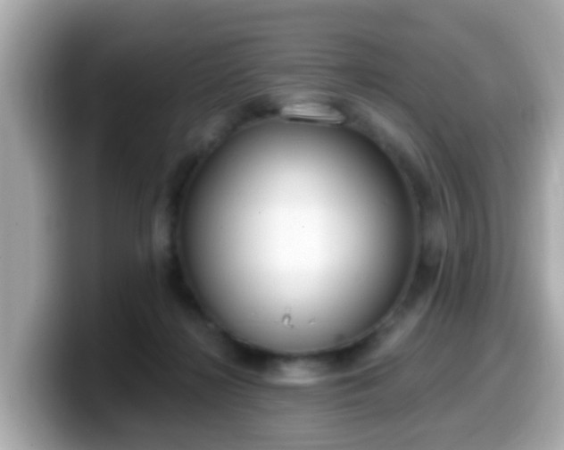 X0000099560268200805231518