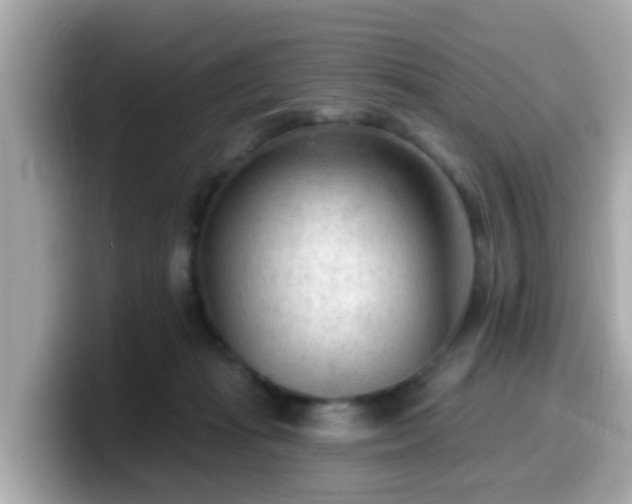 X0000099560269200805231518