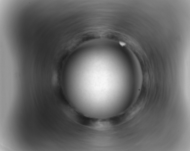 X0000099560270200805231518