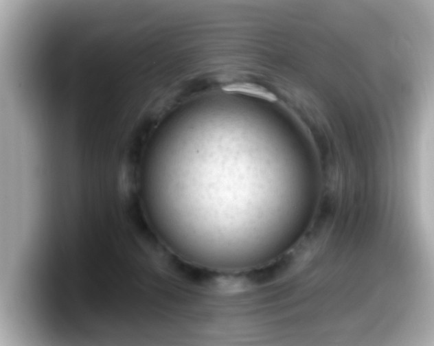 X0000099560272200805231518