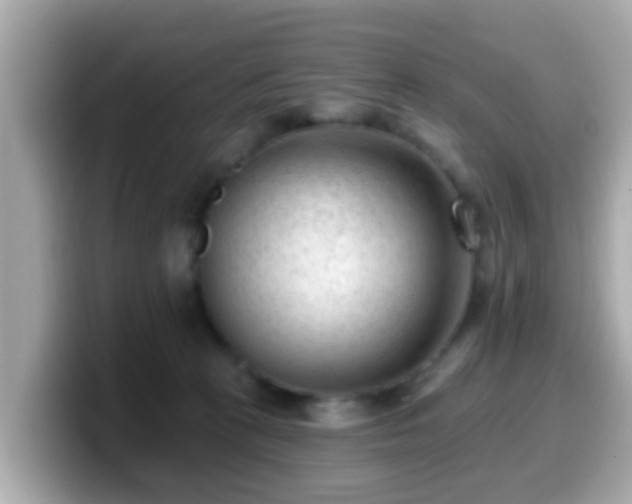 X0000099560273200805231518