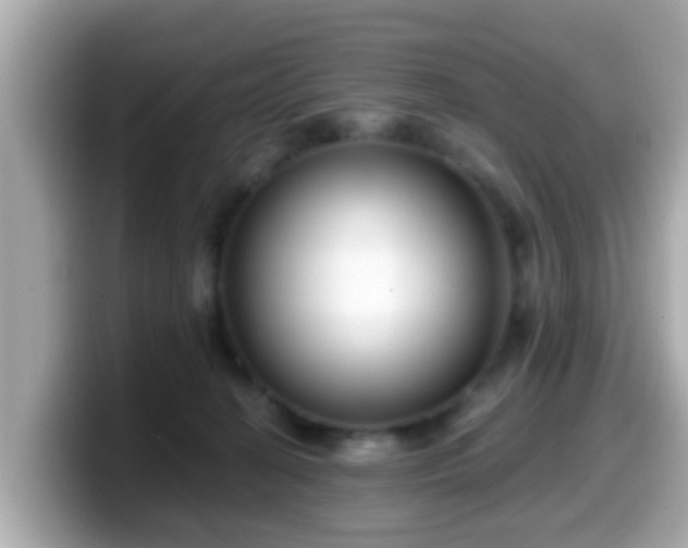 X0000099560274200805231518