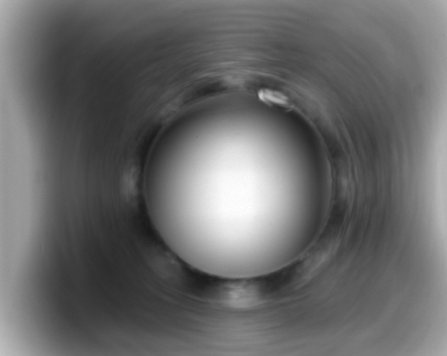 X0000099560275200805231518