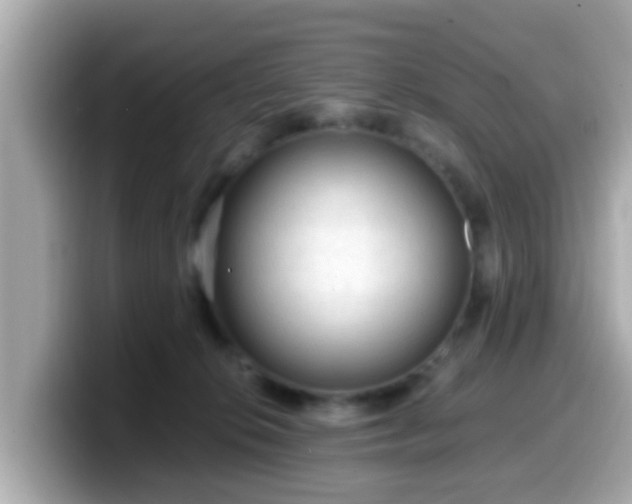 X0000099560276200805231518