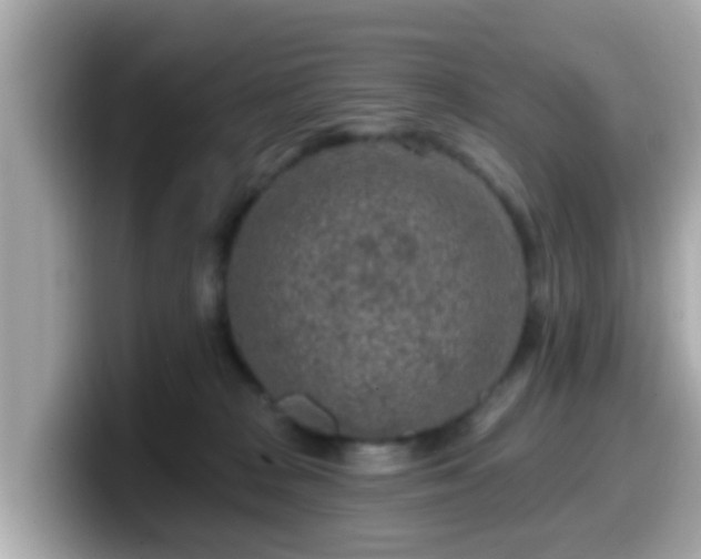 X0000099560277200805231518