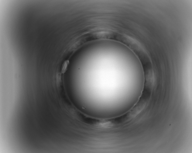 X0000099560278200805231518