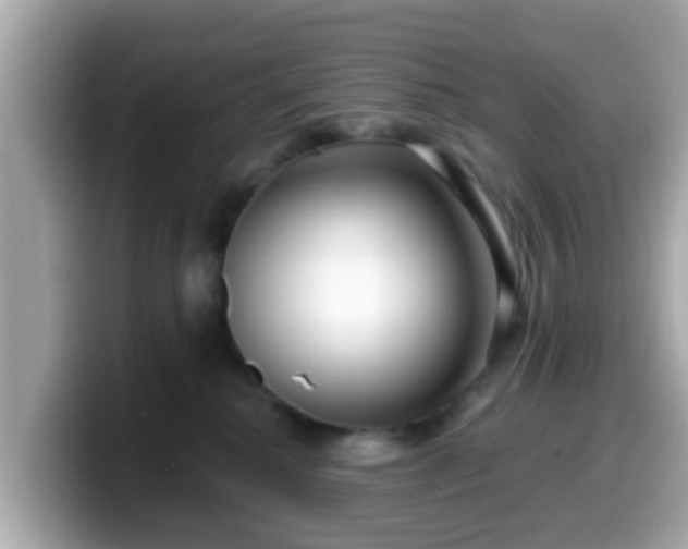 X0000099560280200805231518