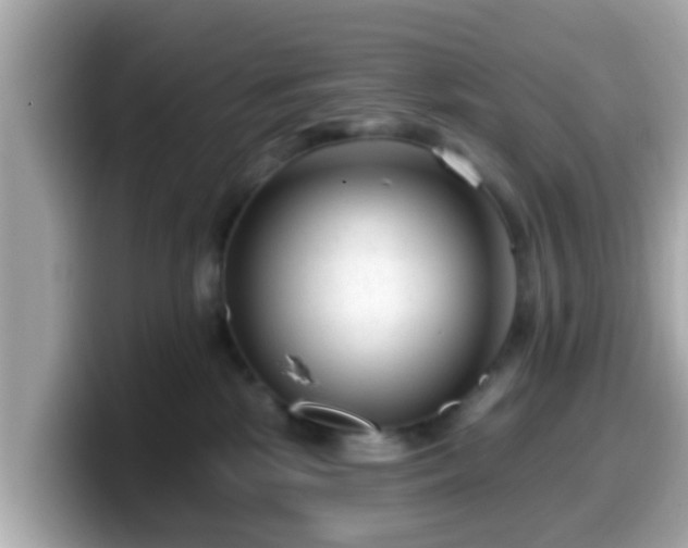 X0000099560281200805231518