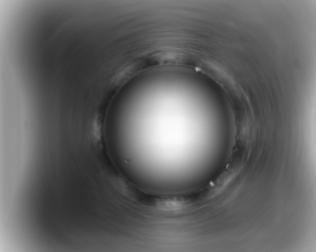 X0000099560282200805231518