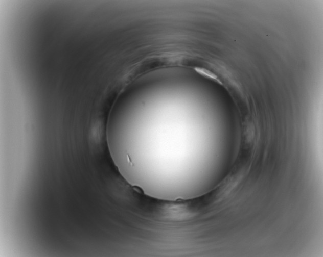 X0000099560283200805231518