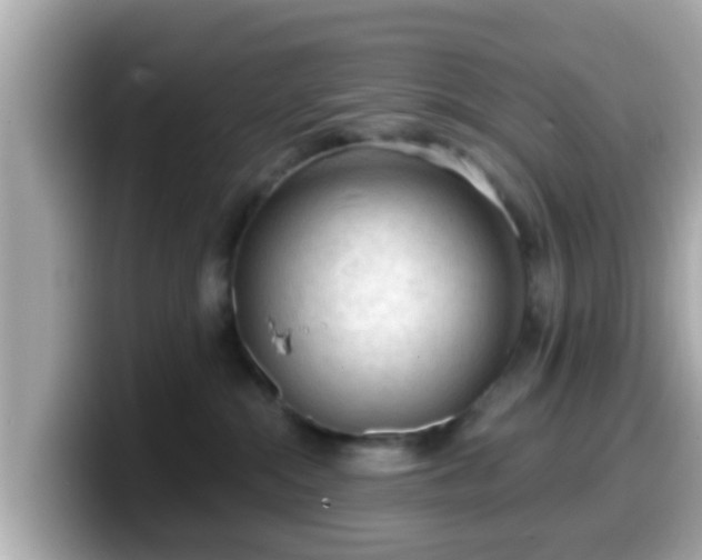 X0000099560284200805231518