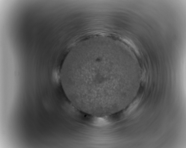 X0000099560285200805231518