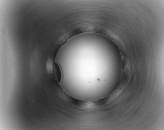 X0000099560287200805231518