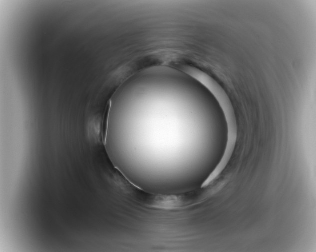 X0000099560288200805231518