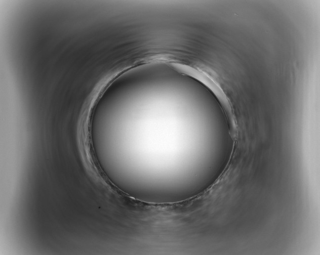 X0000099560289200805231518