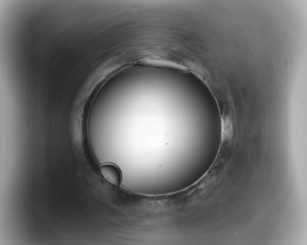 X0000099560291200805231517